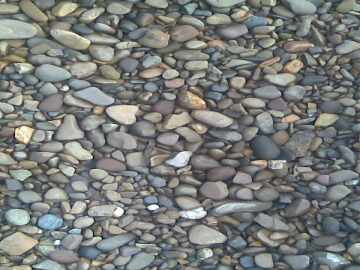 ИП Вакушка В.Ю. - Фото 2